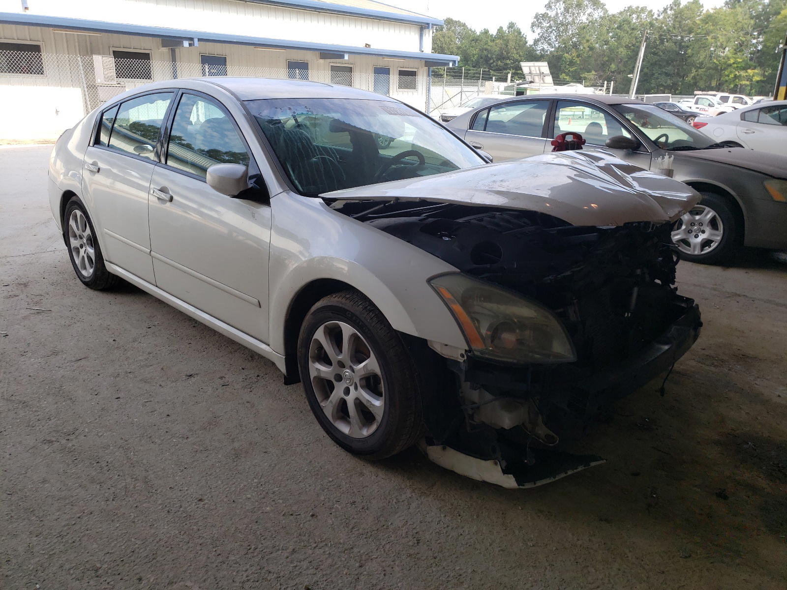NISSAN MAXIMA SE 2008 with VIN 1N4BA41E38C833296 - Photo from auction