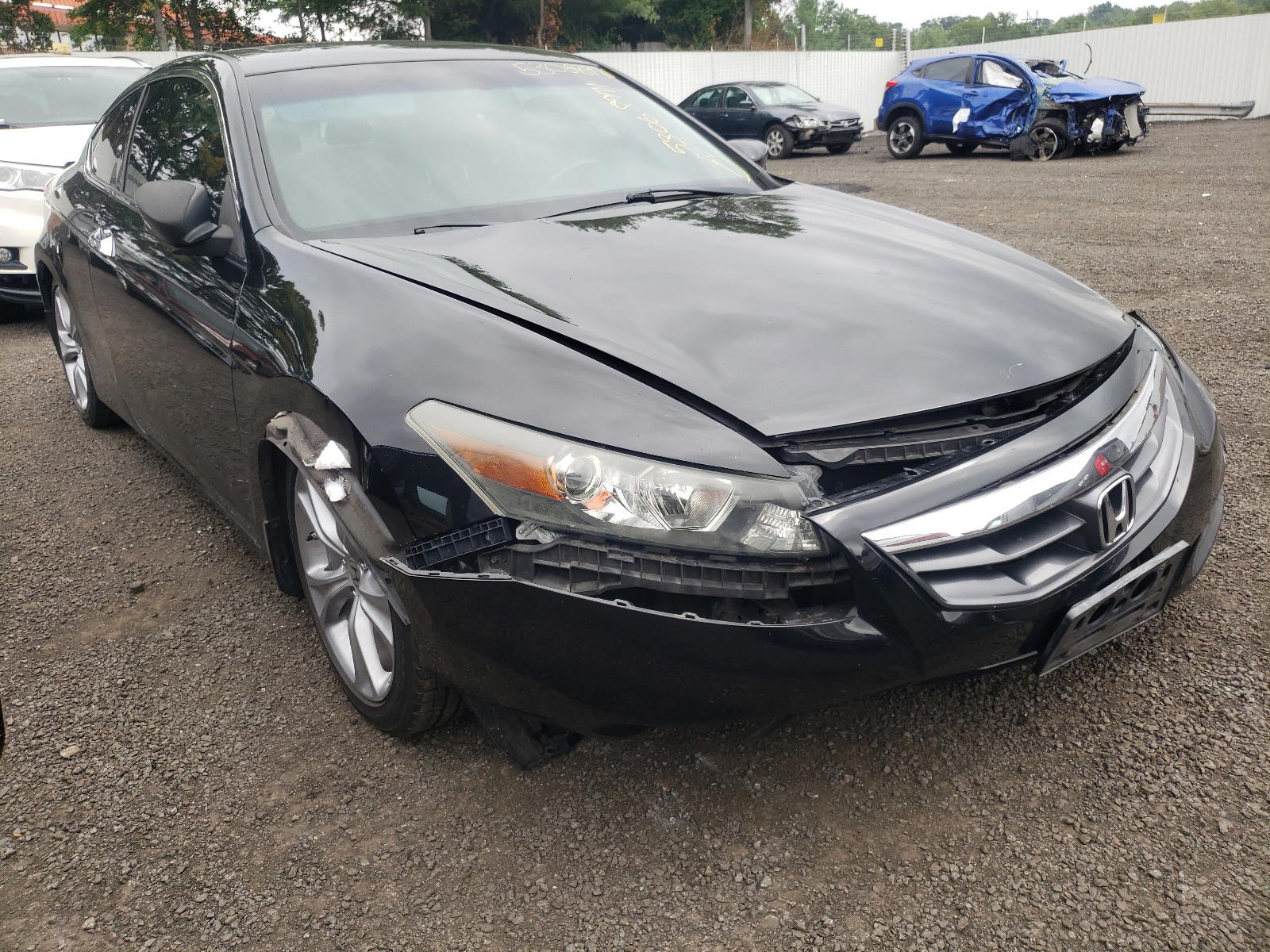 HONDA ACCORD EXL 2011 with VIN 1HGCS2A80BA008024 - Photo from auction