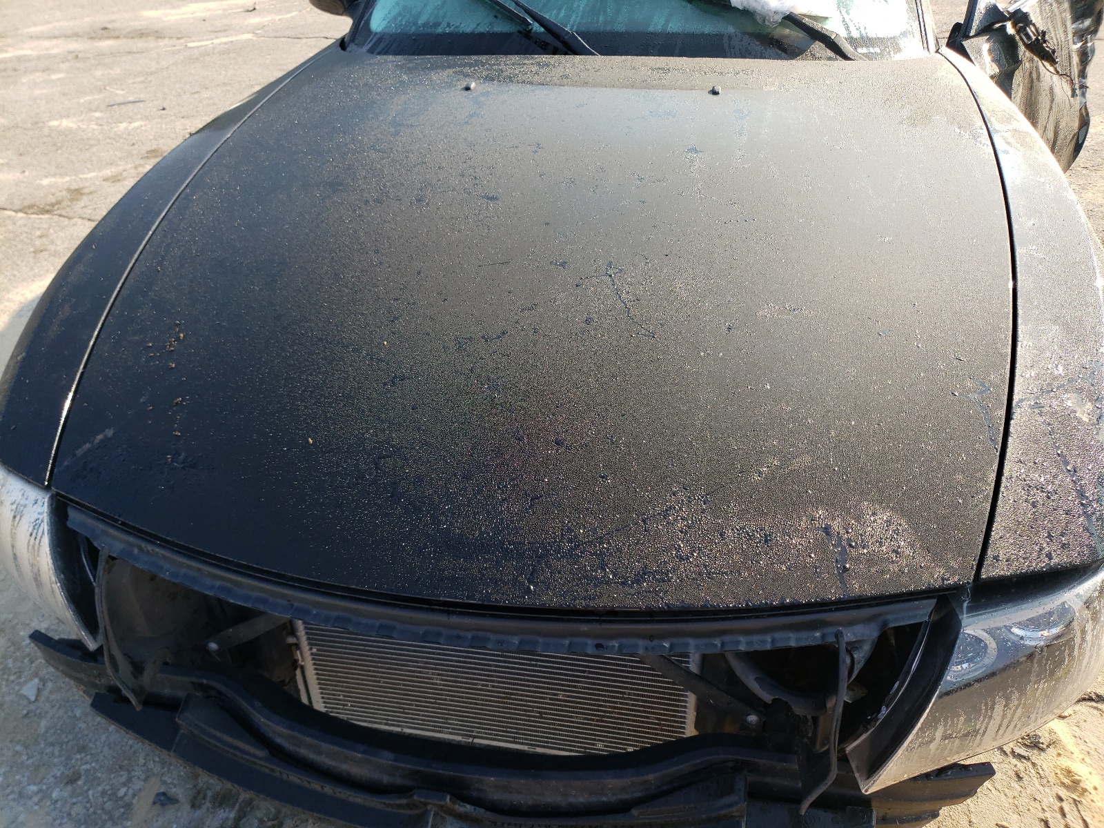 Photo 7 from auction – 2006 BMW Z4 3.0 with VIN 4USBU33516LW68316