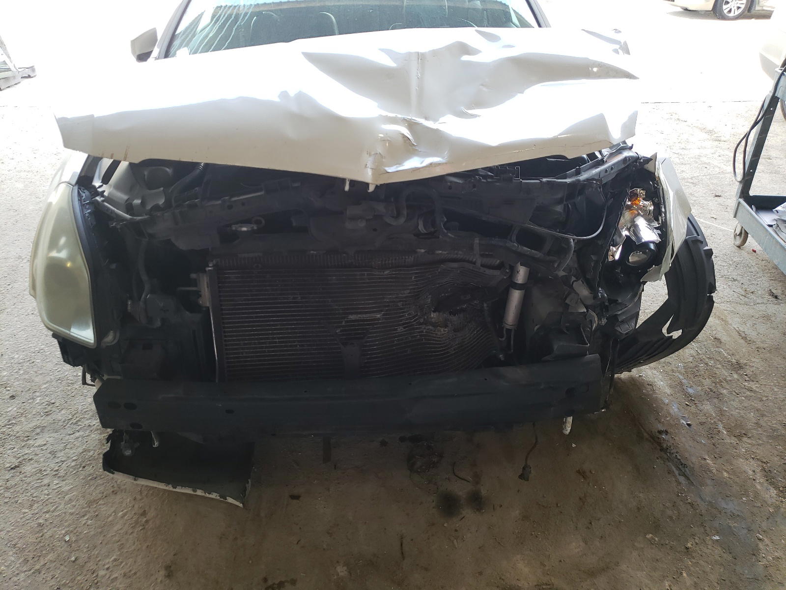 Photo 9 from auction – 2008 NISSAN MAXIMA SE with VIN 1N4BA41E38C833296