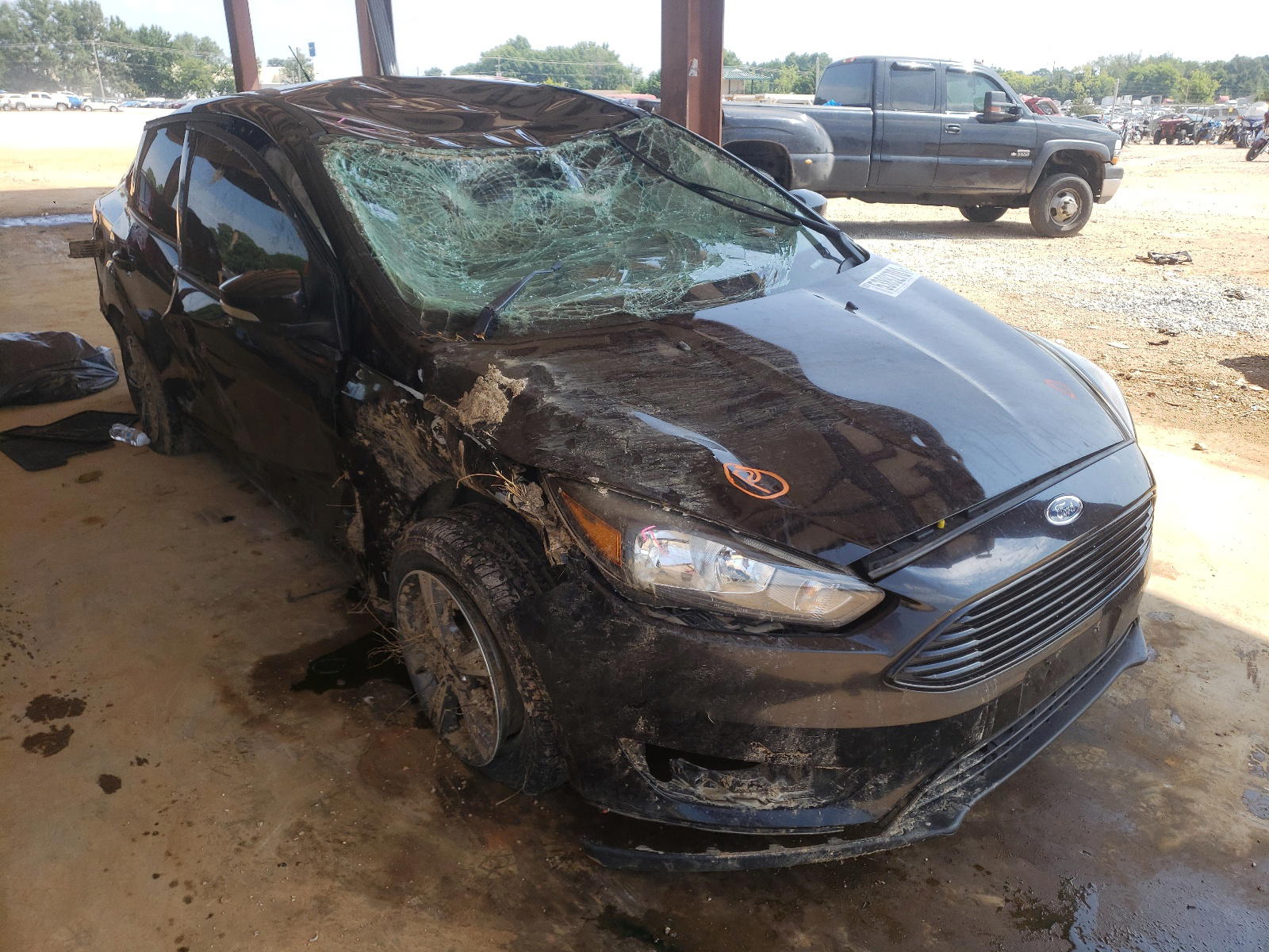 FORD FOCUS SE 2016 with VIN 1FADP3FE2GL383312 - Photo from auction