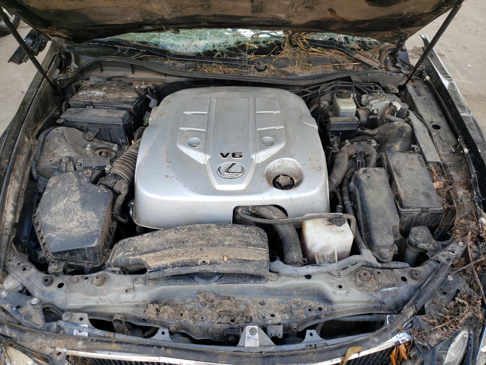 Photo 7 from auction – 2006 LEXUS GS 300 with VIN JTHBH96S965043390
