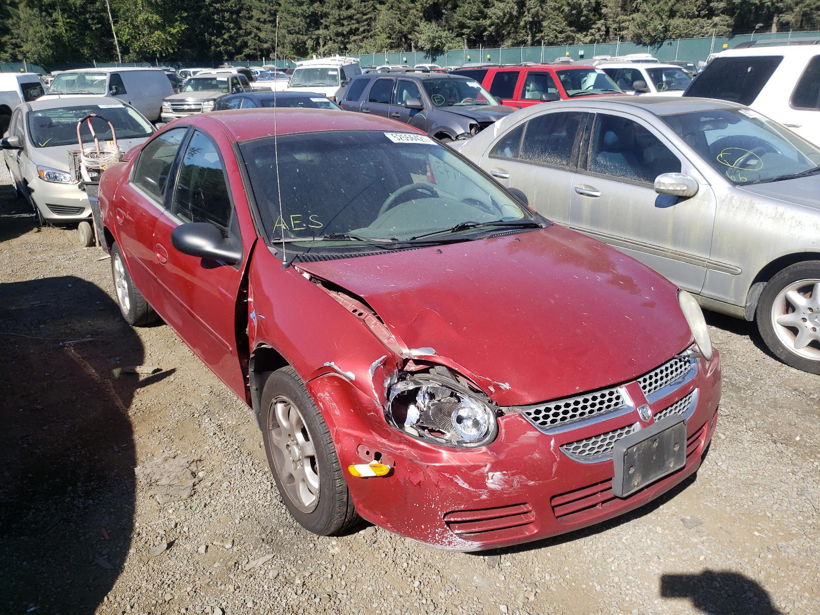 DODGE NEON SXT 2005 with VIN 1B3ES56C85D273767 - Photo from auction