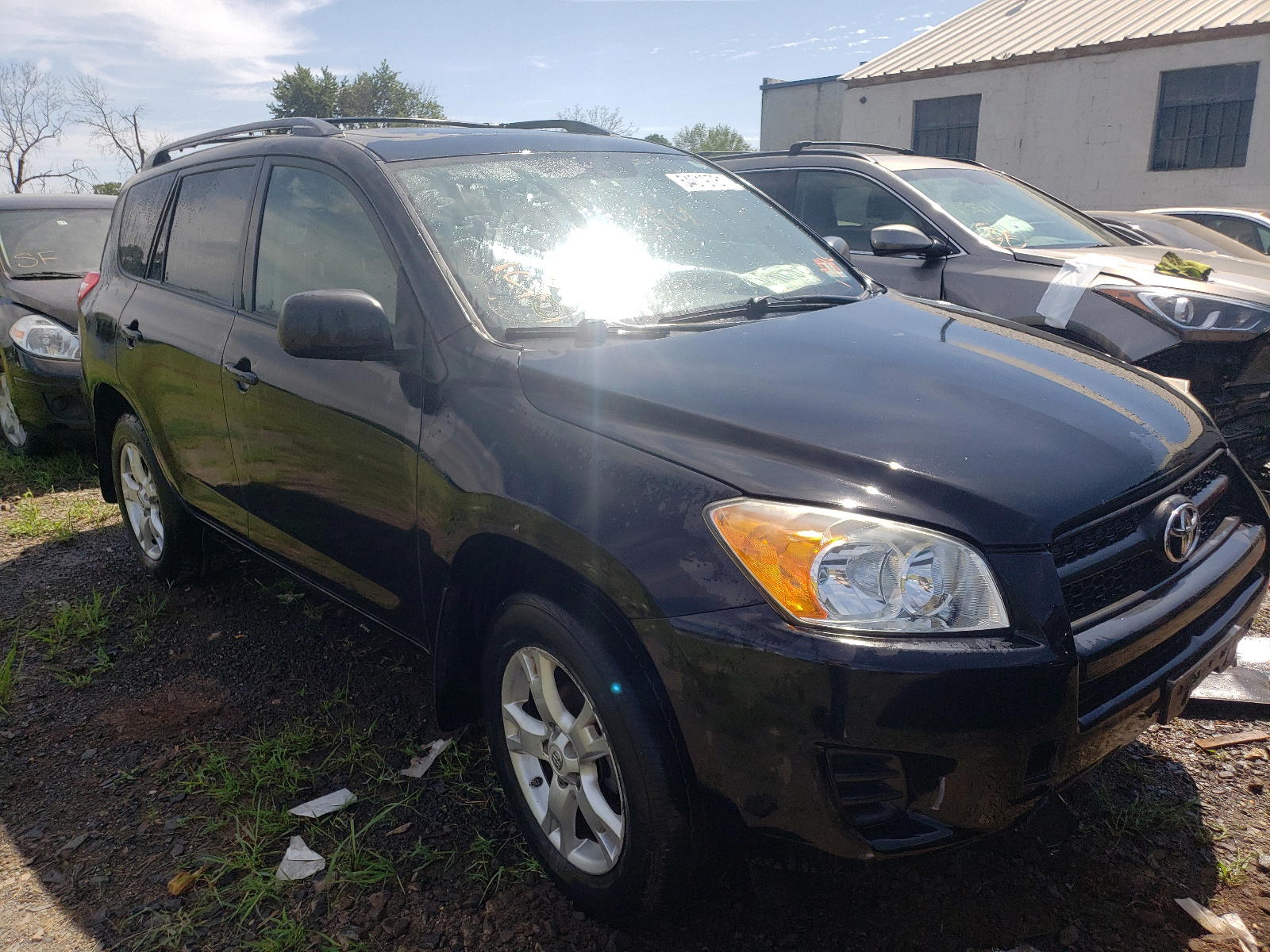 TOYOTA RAV4 2011 with VIN 2T3BF4DV8BW116582 - Photo from auction