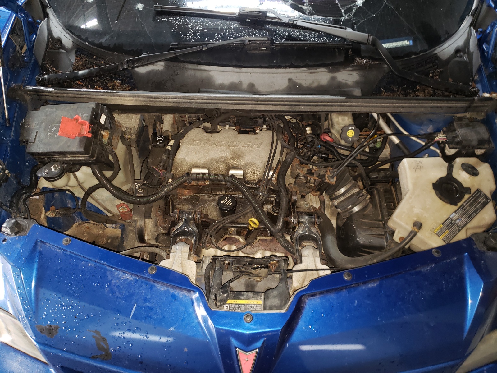 Фото 7 с аукциона – 2004 PONTIAC AZTEK с VIN 3G7DA03E24S568219