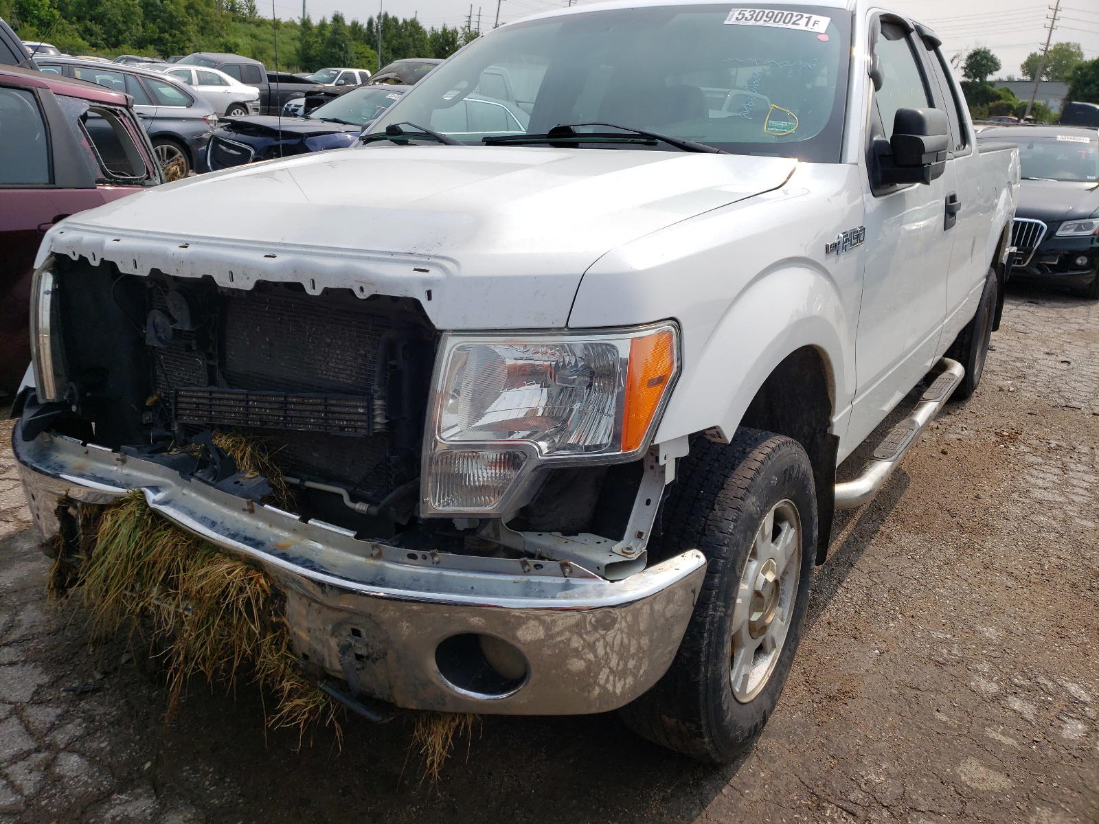 Photo 2 from auction – 2013 FORD F150 SUPER with VIN 1FTFX1EF0DKF98321