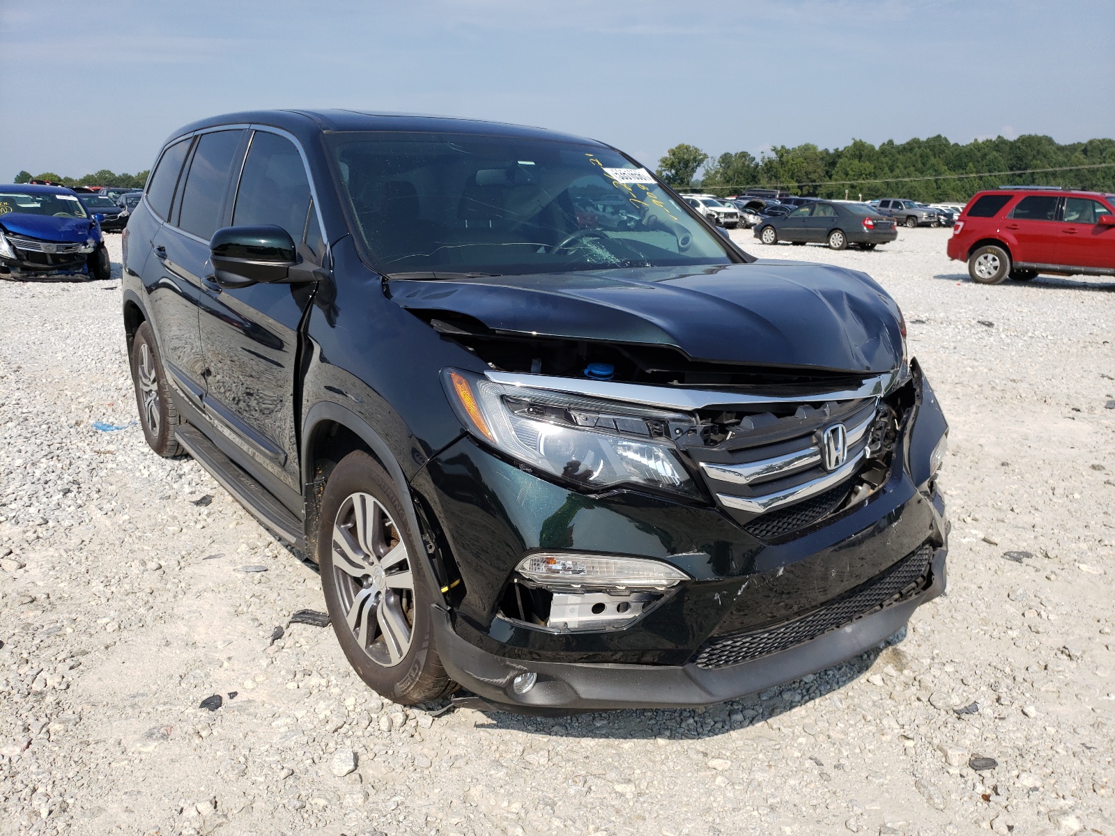 HONDA PILOT EXL 2016 with VIN 5FNYF5H88GB049080 - Photo from auction
