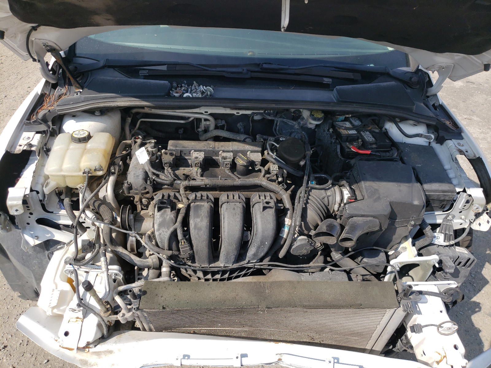 Photo 7 from auction – 2012 FORD FOCUS SEL with VIN 1FAHP3H22CL344525
