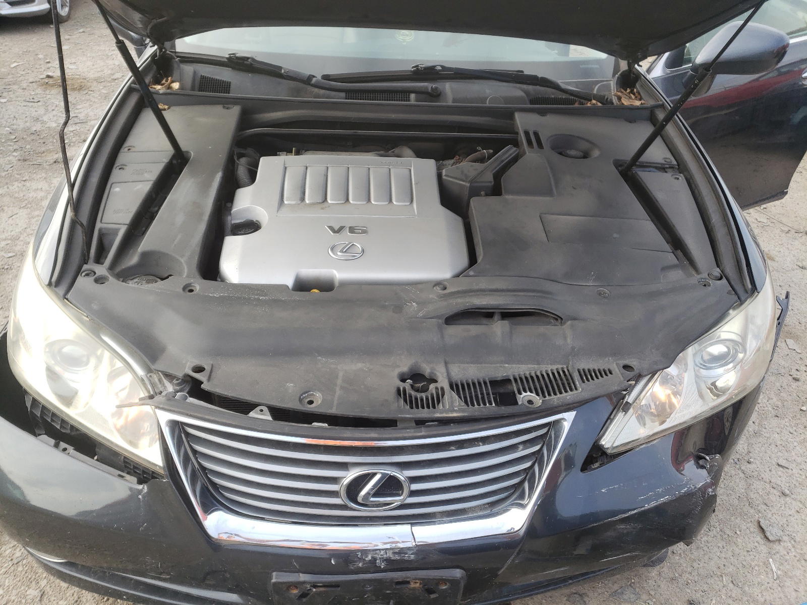 Photo 7 from auction – 2007 LEXUS ES 350 with VIN JTHBJ46G772030417