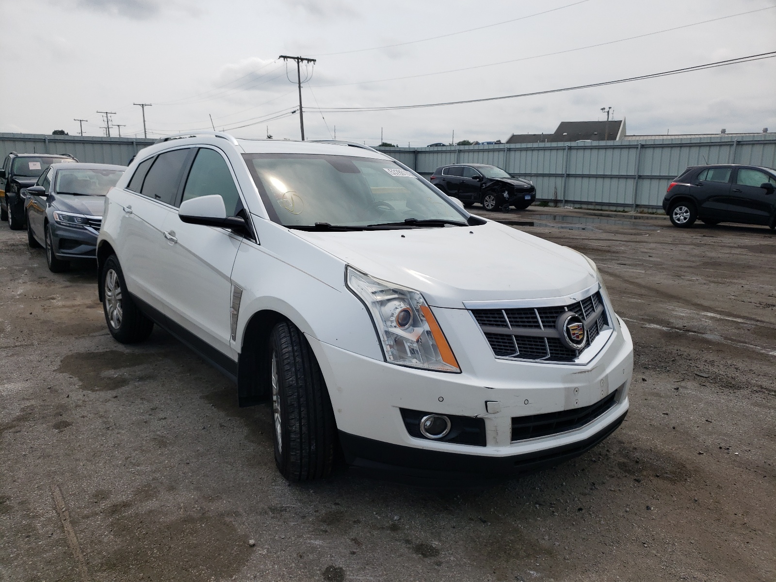 CADILLAC SRX LUXURY 2011 with VIN 3GYFNAEY5BS553829 - Photo from auction