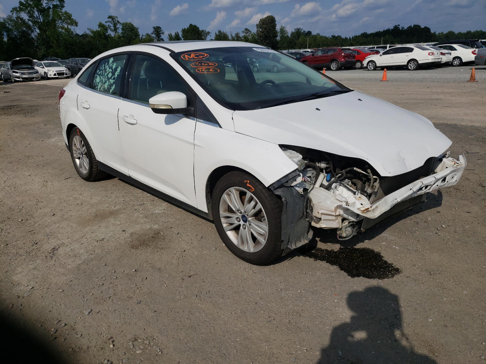 FORD FOCUS SEL 2012 with VIN 1FAHP3H22CL344525 - Photo from auction