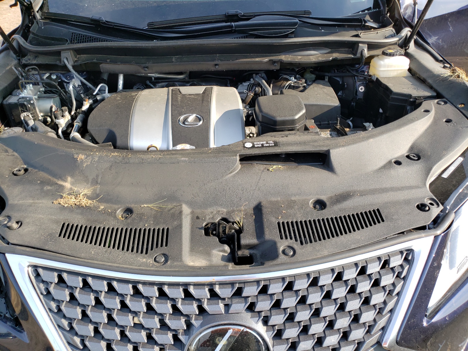 Photo 7 from auction – 2021 LEXUS RX 350 with VIN 2T2HZMDAXMC278267
