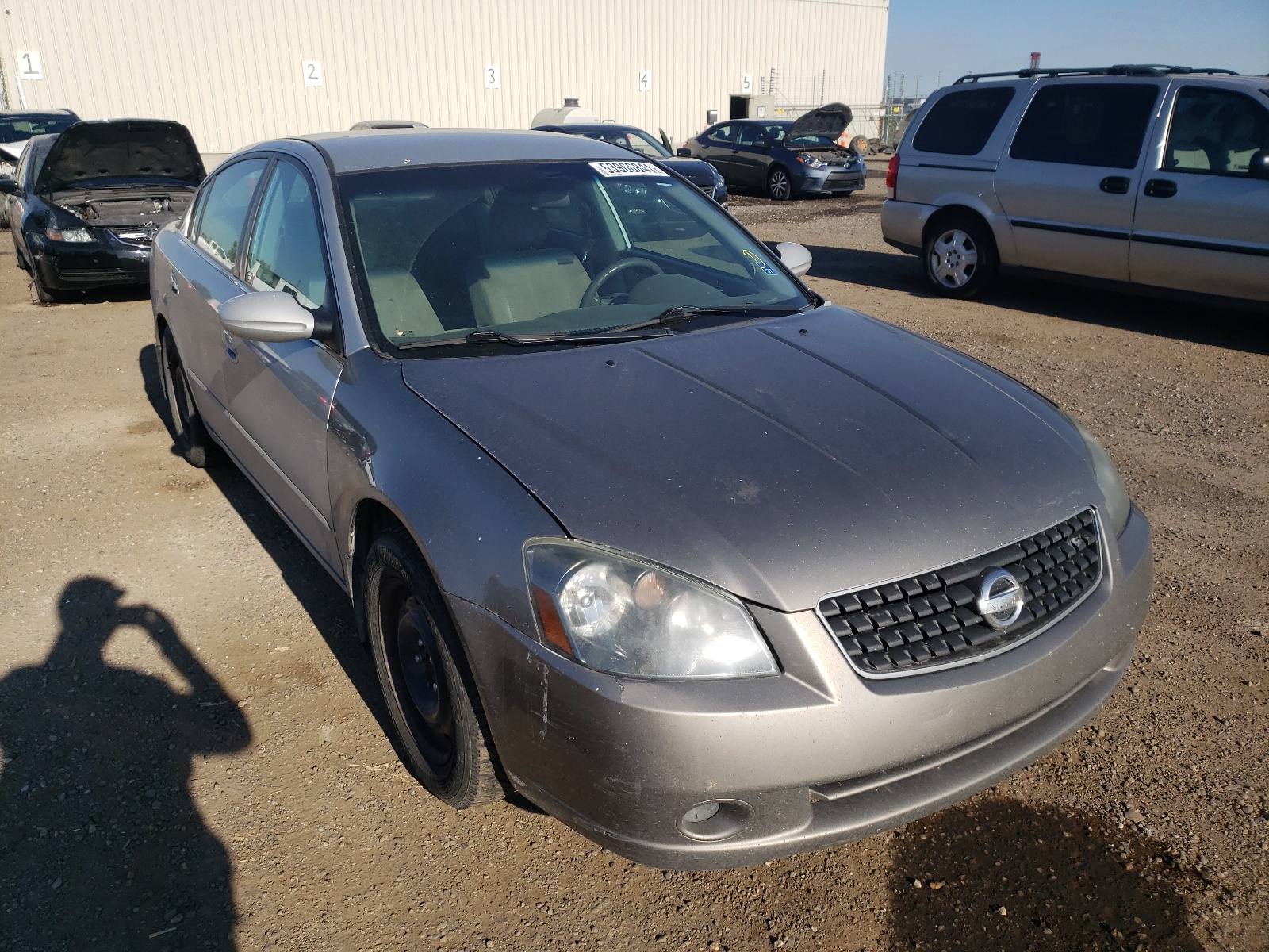 NISSAN ALTIMA S 2005 with VIN 1N4AL11D95C355800 - Photo from auction