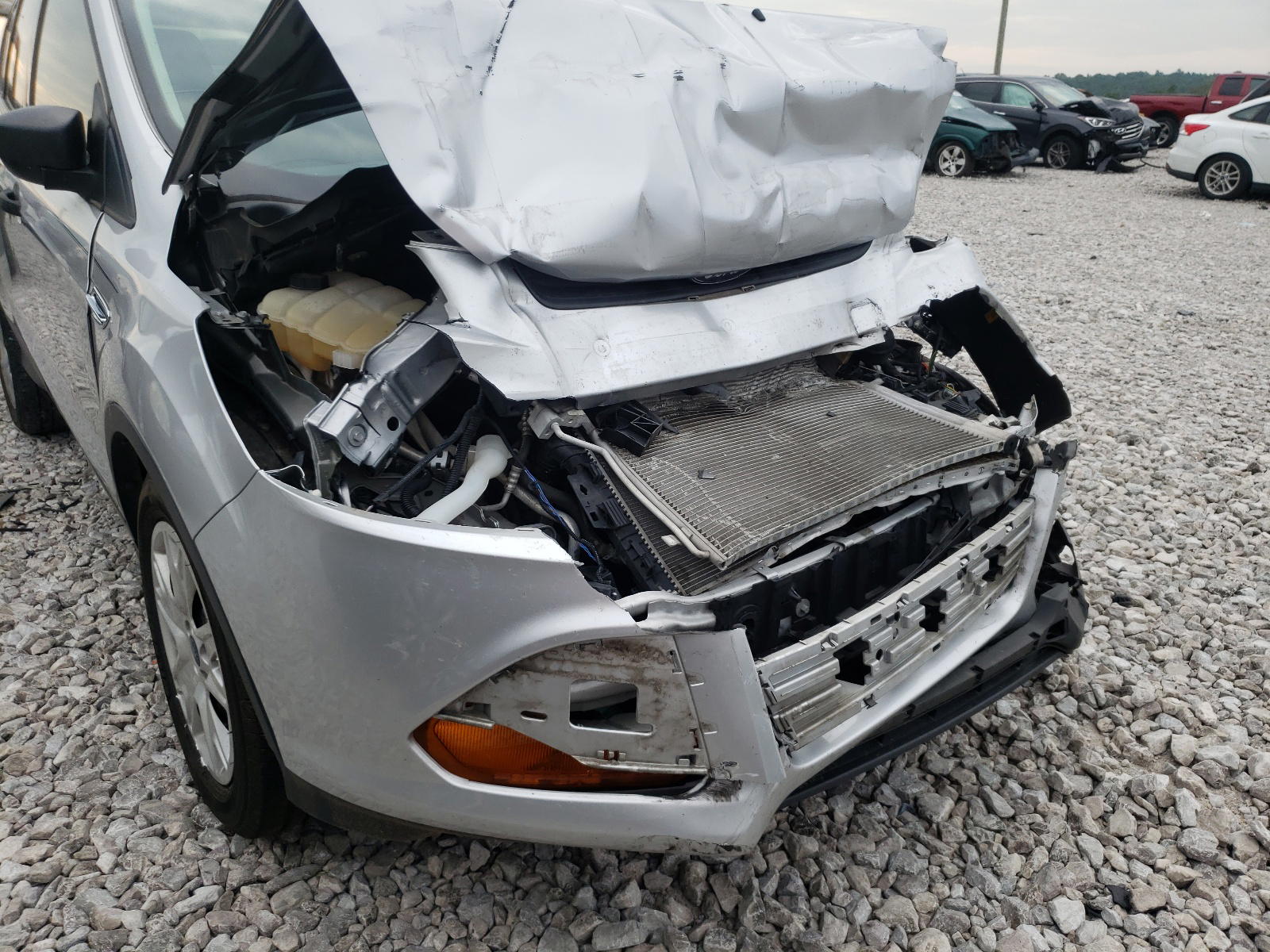 Photo 9 from auction – 2014 FORD ESCAPE S with VIN 1FMCU0F74EUD41757