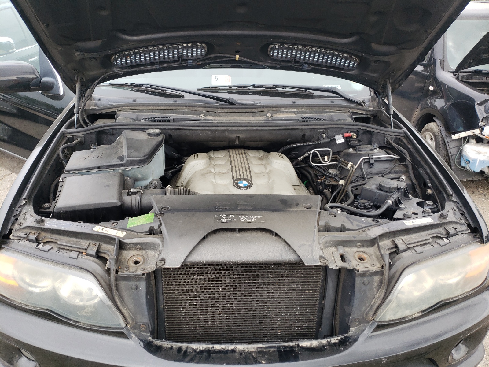 Photo 7 from auction – 2004 BMW X5 4.4I with VIN 5UXFB53584LV08499