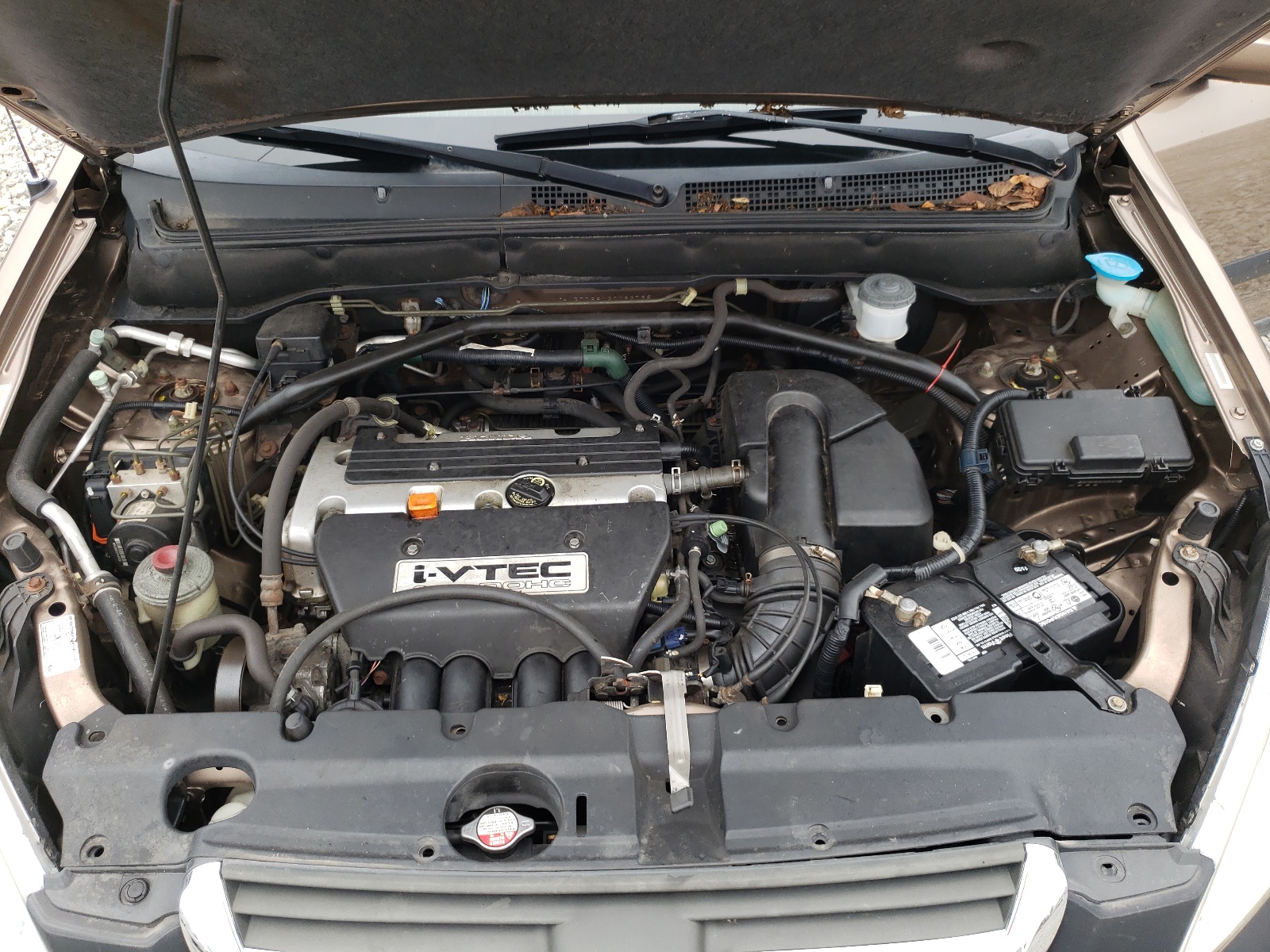 Photo 7 from auction – 2002 HONDA CR-V EX with VIN JHLRD78812C092738