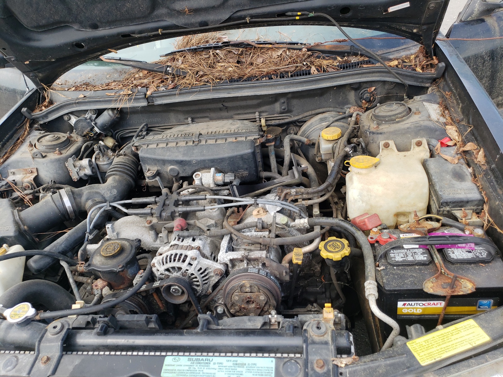 Photo 7 from auction – 1999 SUBARU FORESTER with VIN JF1SF6350XG737451