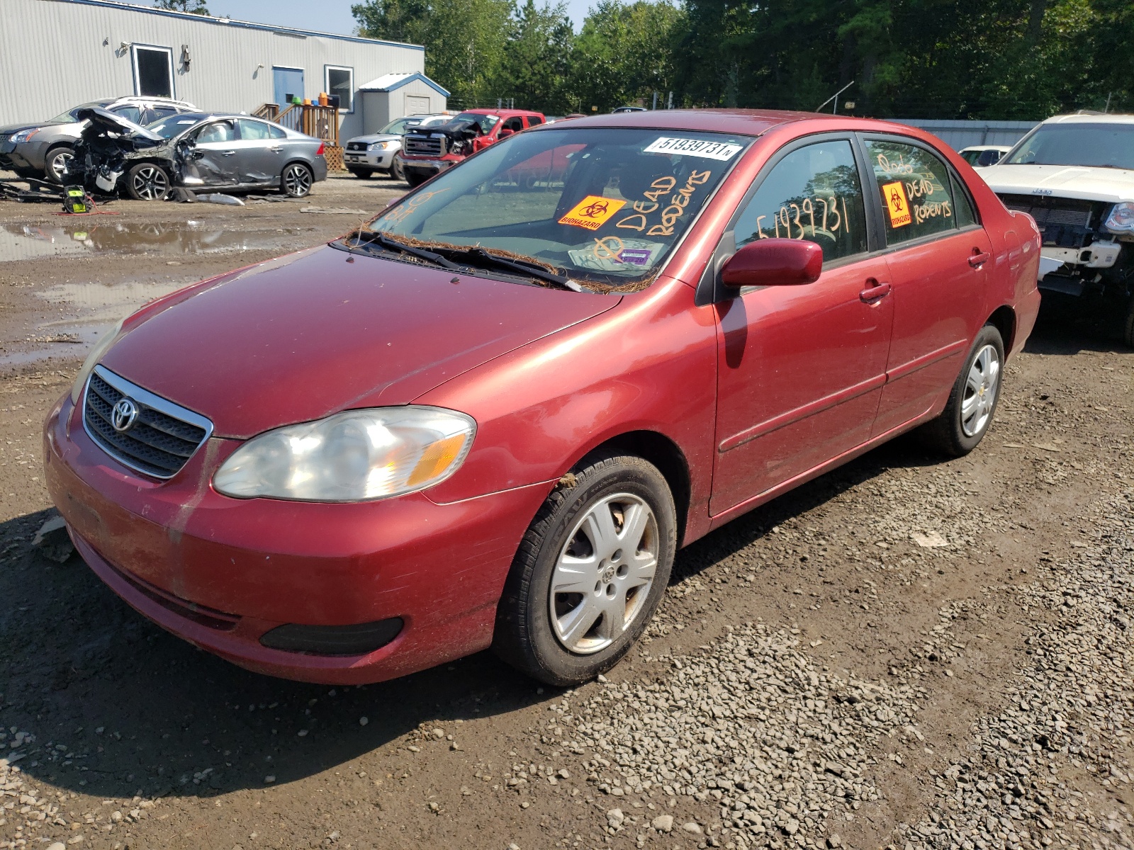 Photo 2 from auction – 2008 TOYOTA COROLLA CE with VIN 1NXBR32E78Z026538
