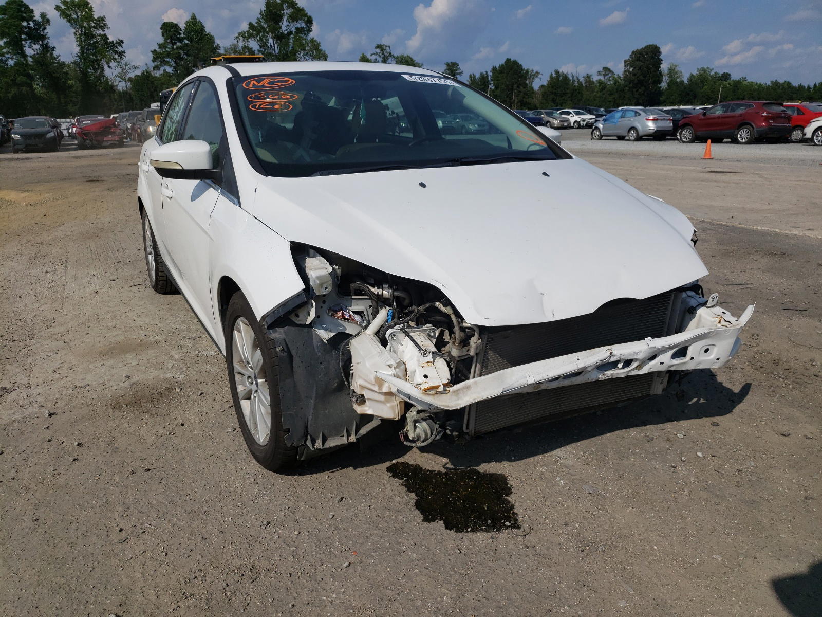 Photo 9 from auction – 2012 FORD FOCUS SEL with VIN 1FAHP3H22CL344525