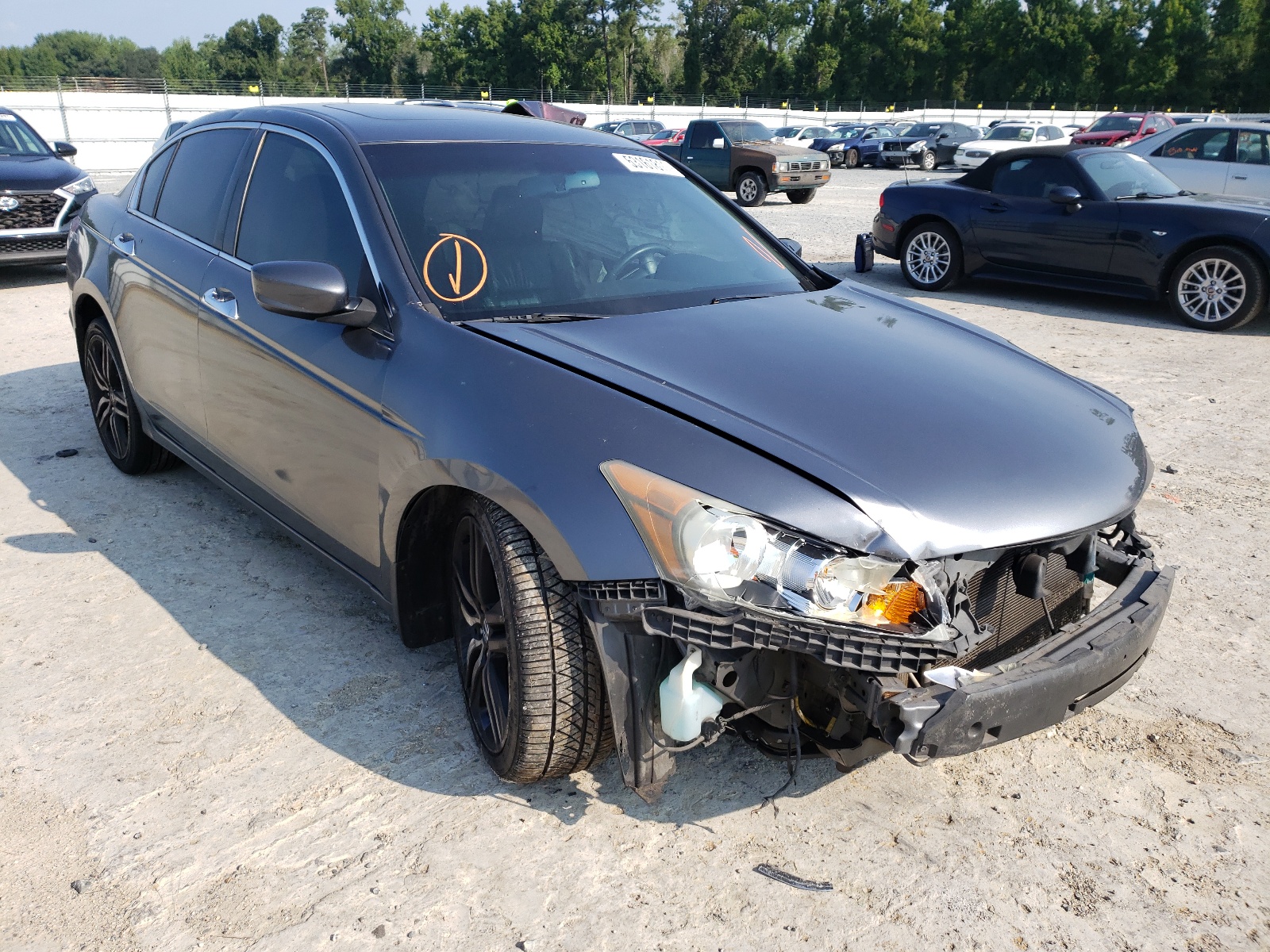 Photo 1 from auction – 2008 HONDA ACCORD EXL with VIN 1HGCP368X8A008749