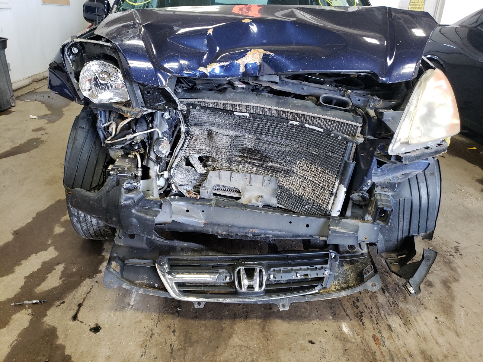 Photo 9 from auction – 2004 HONDA CR-V EX with VIN JHLRD78824C017100