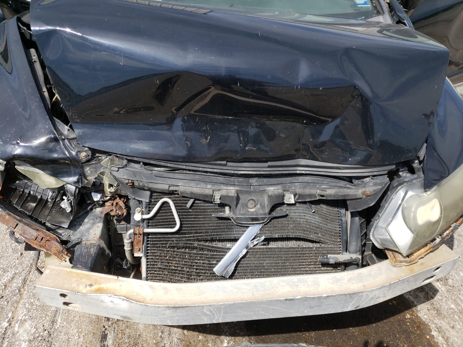 Photo 7 from auction – 2007 HONDA CIVIC EX with VIN 1HGFA168X7L095638