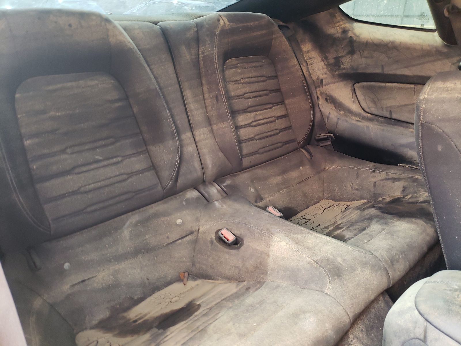 Photo 6 from auction – 2015 FORD MUSTANG GT with VIN 1FA6P8CF2F5321009