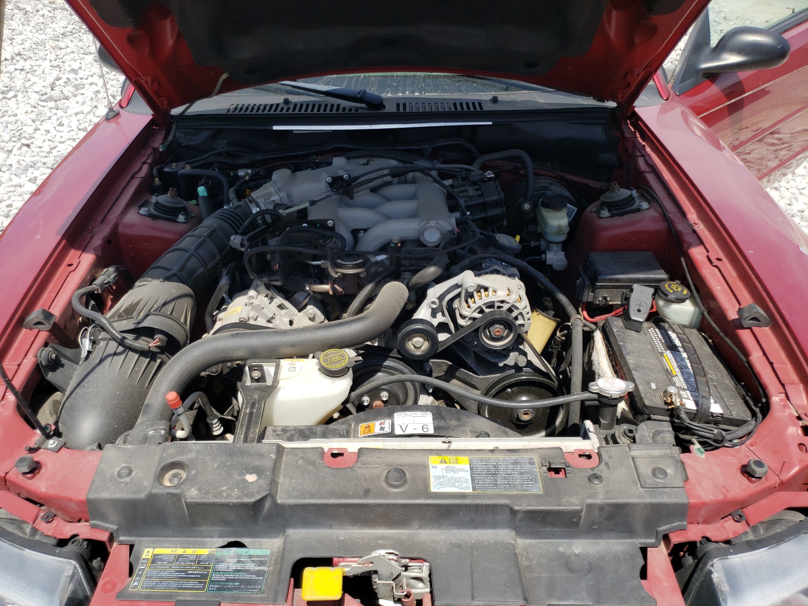 Photo 7 from auction – 2004 FORD MUSTANG with VIN 1FAFP40684F162551