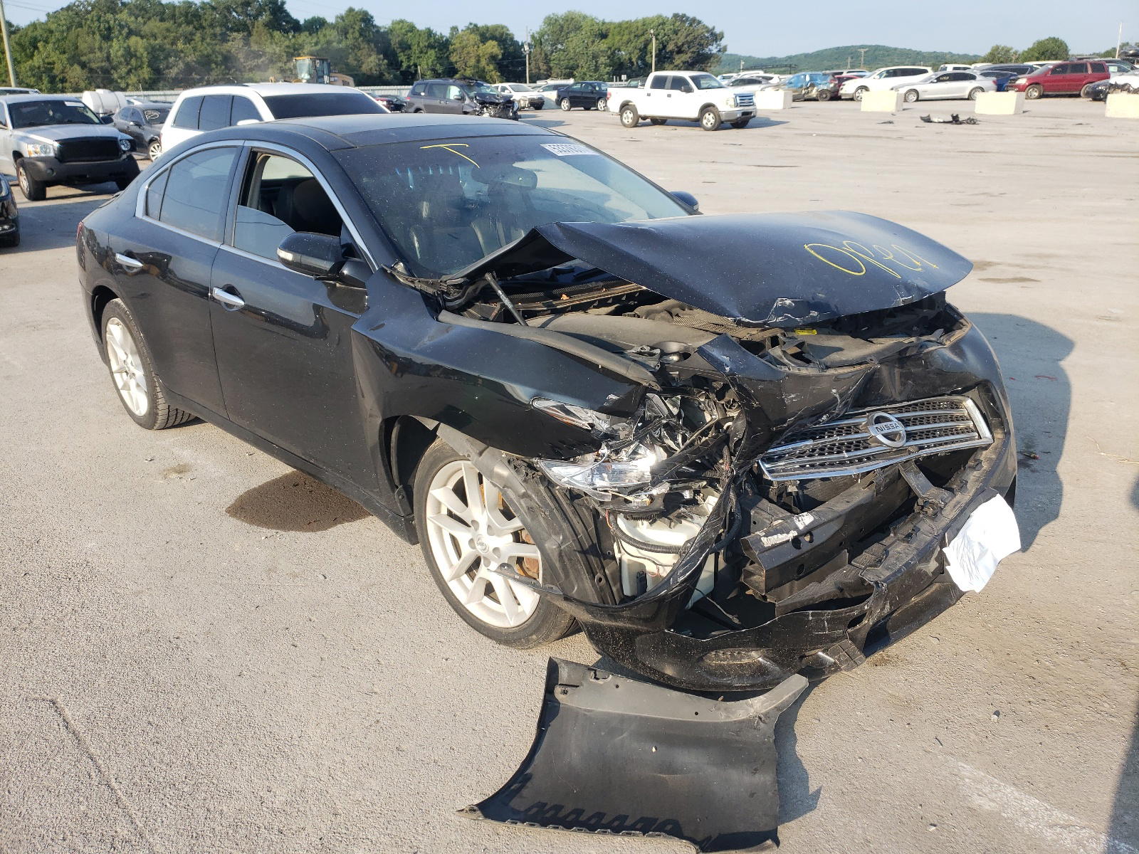 NISSAN MAXIMA S 2009 with VIN 1N4AA51E29C845524 - Photo from auction