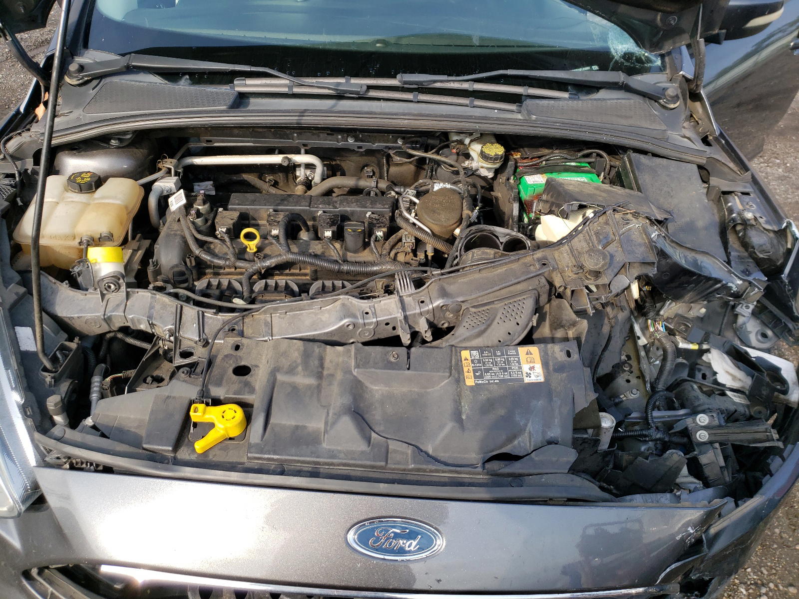 Photo 7 from auction – 2015 FORD FOCUS SE with VIN 1FADP3F24FL259997