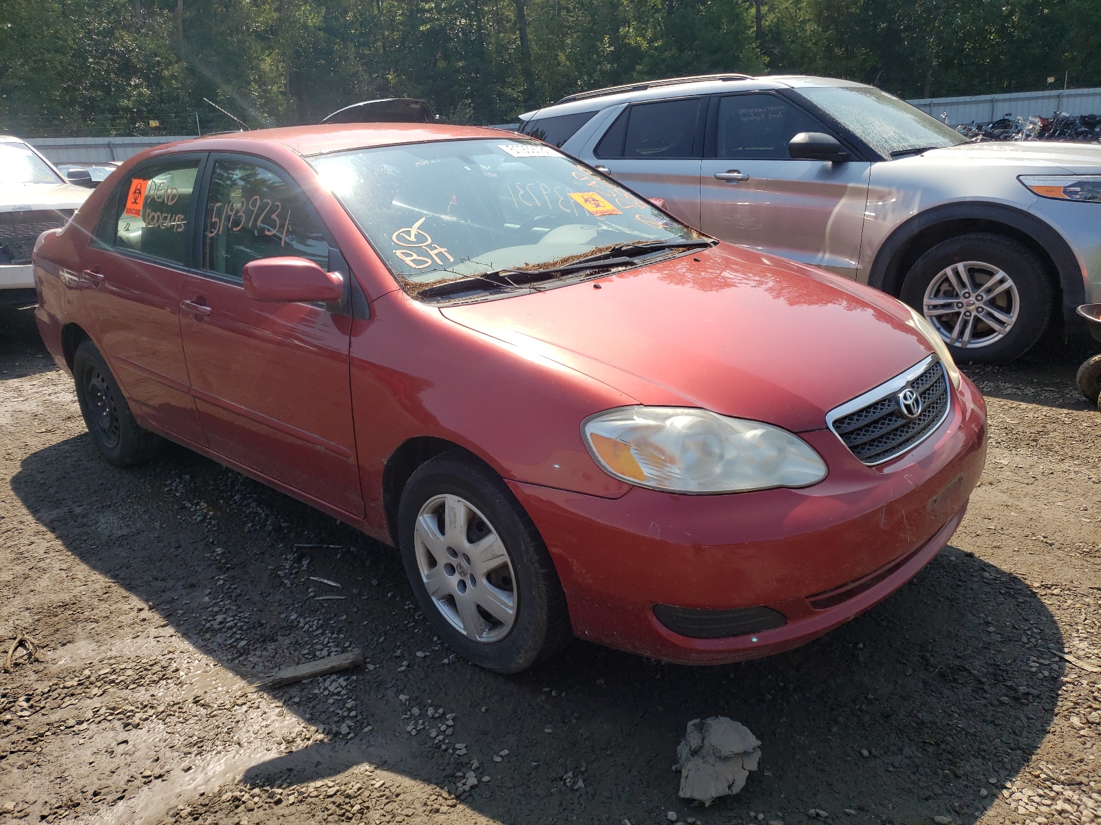 Photo 1 from auction – 2008 TOYOTA COROLLA CE with VIN 1NXBR32E78Z026538