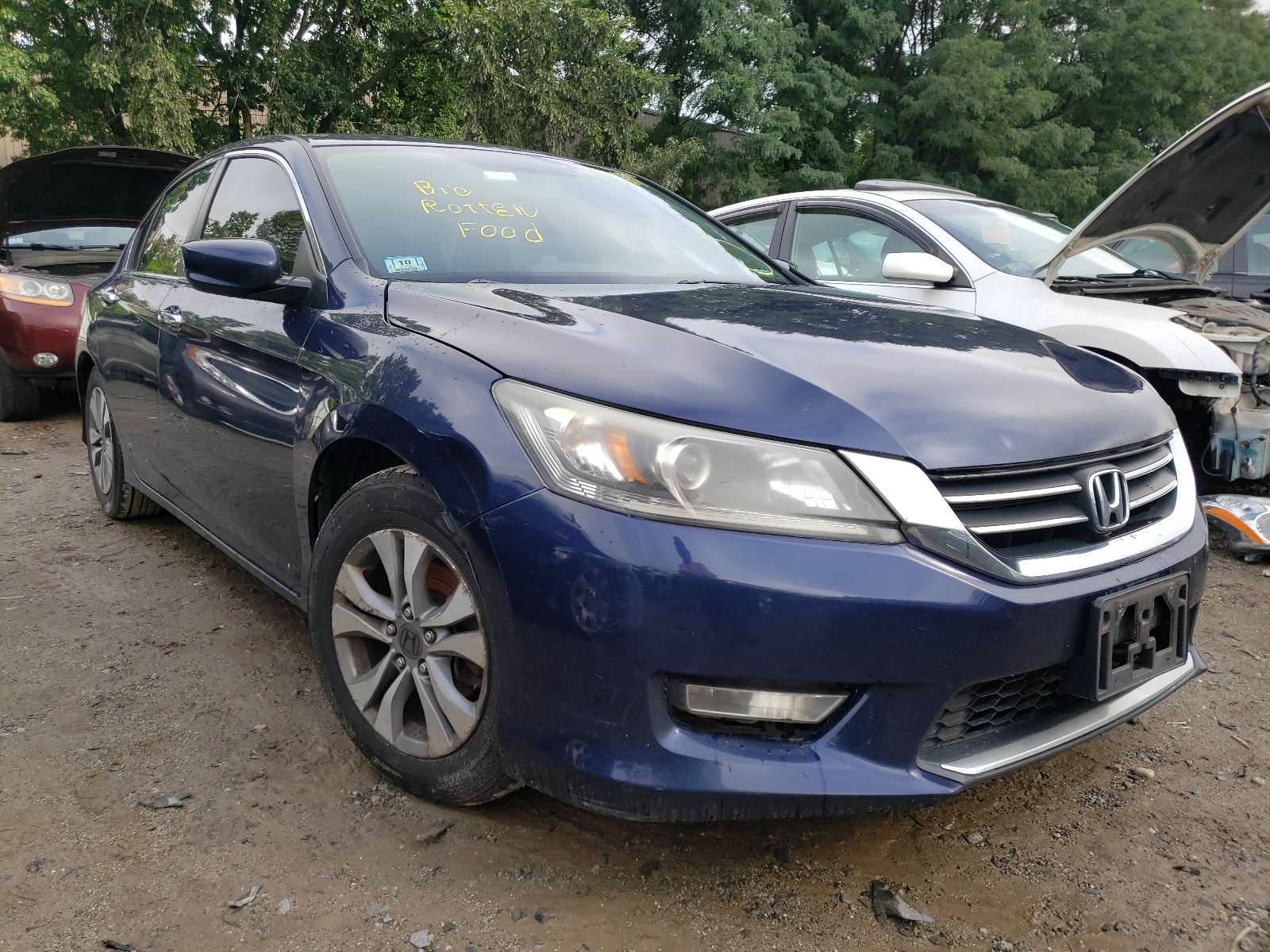 HONDA ACCORD LX 2014 with VIN 1HGCR2F3XEA290993 - Photo from auction