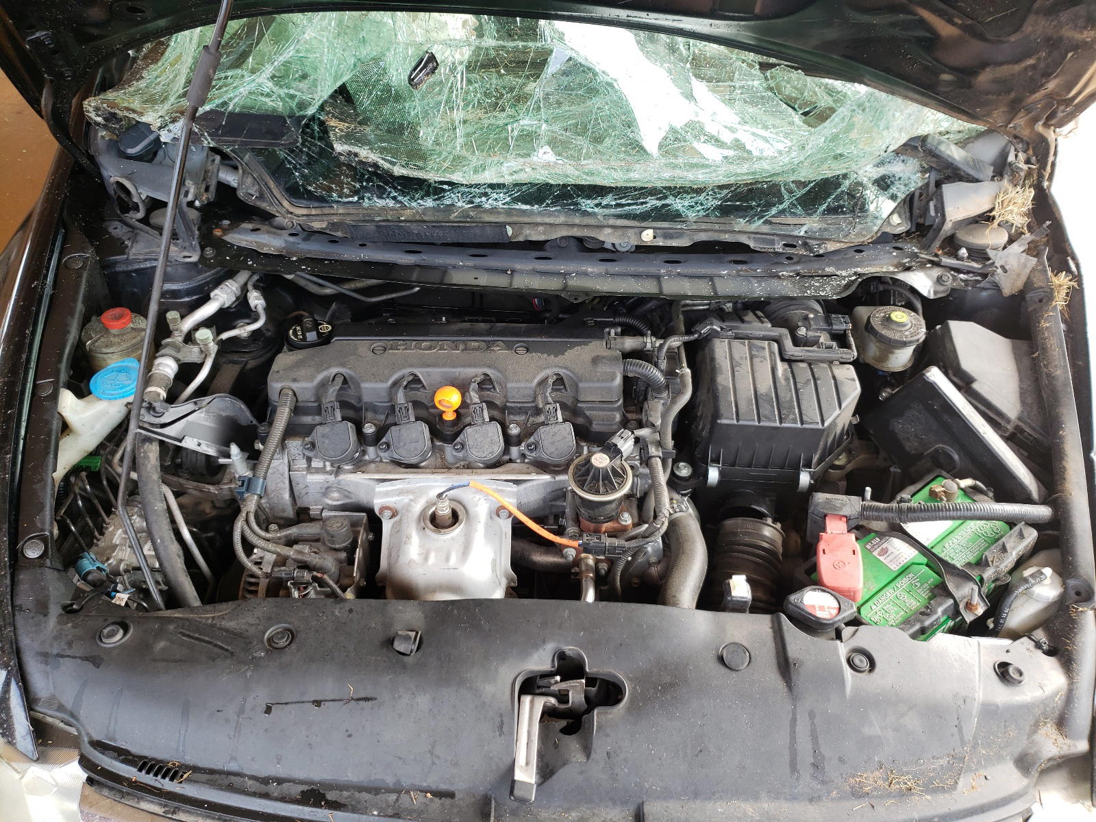 Photo 7 from auction – 2011 HONDA CIVIC EX with VIN 19XFA1F84BE011796