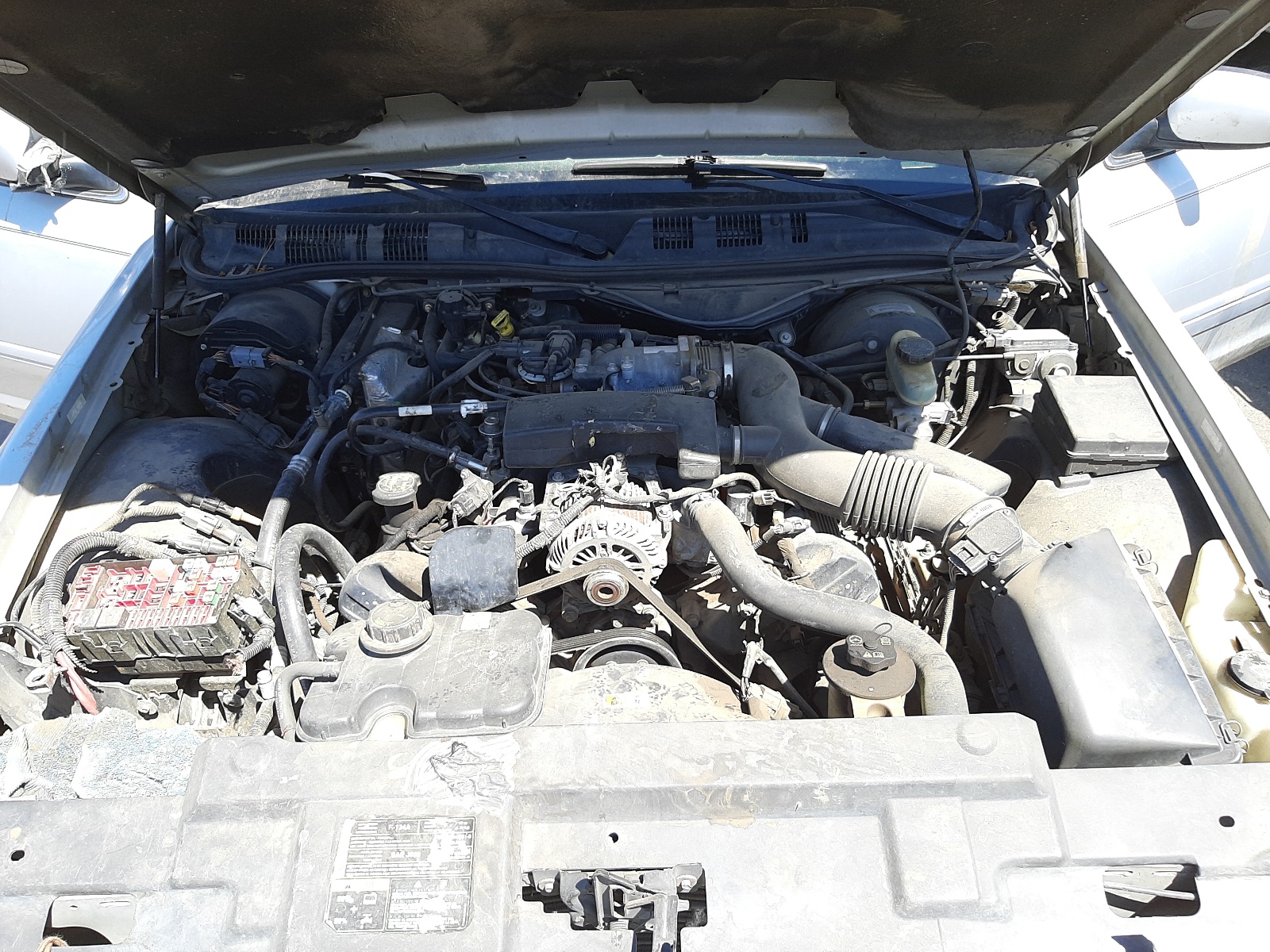 Photo 7 from auction – 2003 FORD CROWN VICT with VIN 2FAHP74W03X124495
