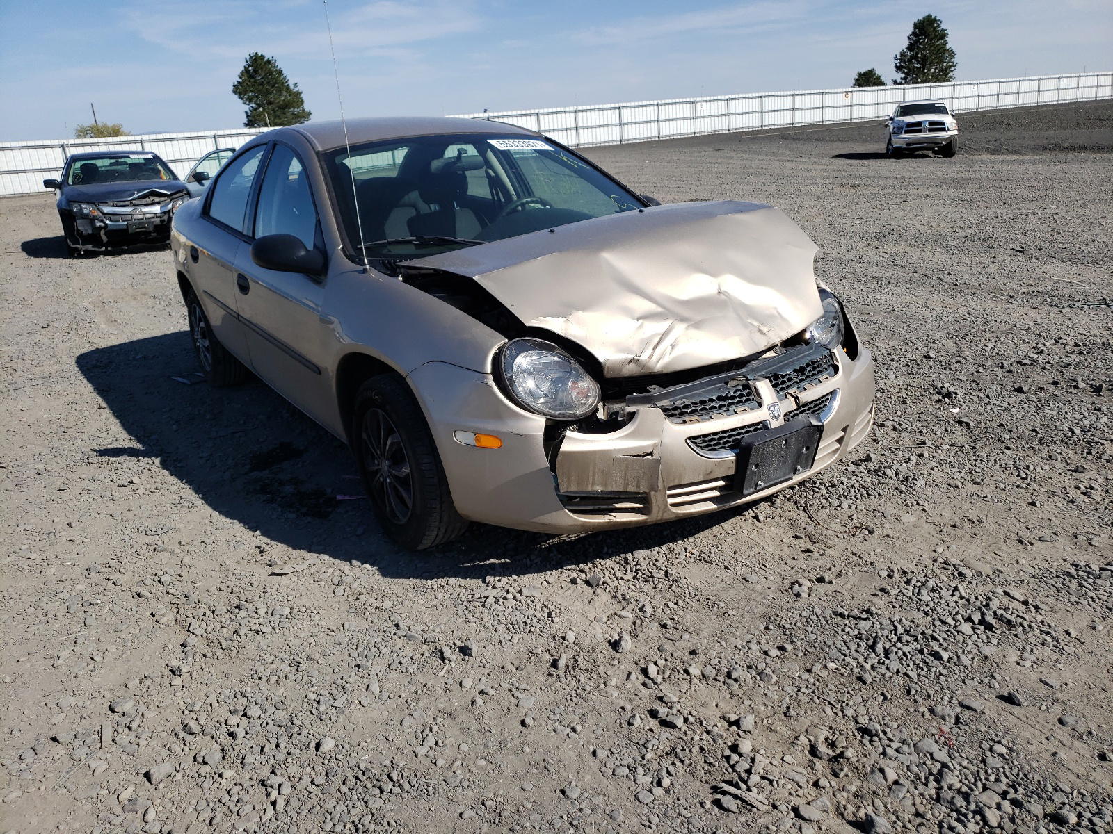 DODGE NEON 2003 with VIN 1B3ES26C93D238196 - Photo from auction