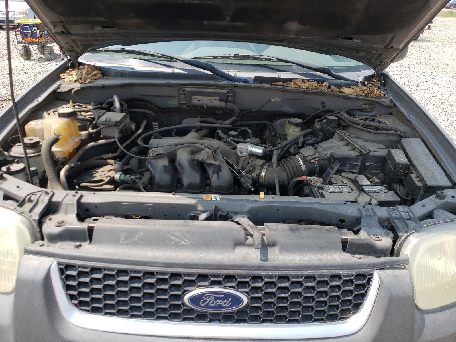 Photo 7 from auction – 2002 FORD ESCAPE XLT with VIN 1FMYU04152KE02710