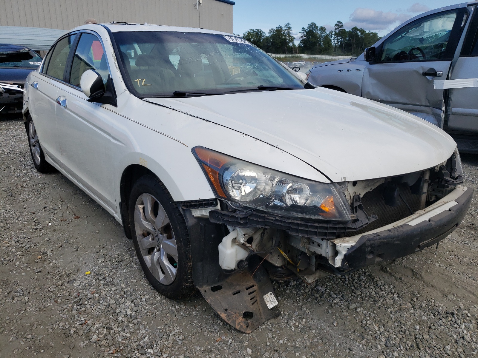 HONDA ACCORD EXL 2010 with VIN 5KBCP3F85AB004945 - Photo from auction
