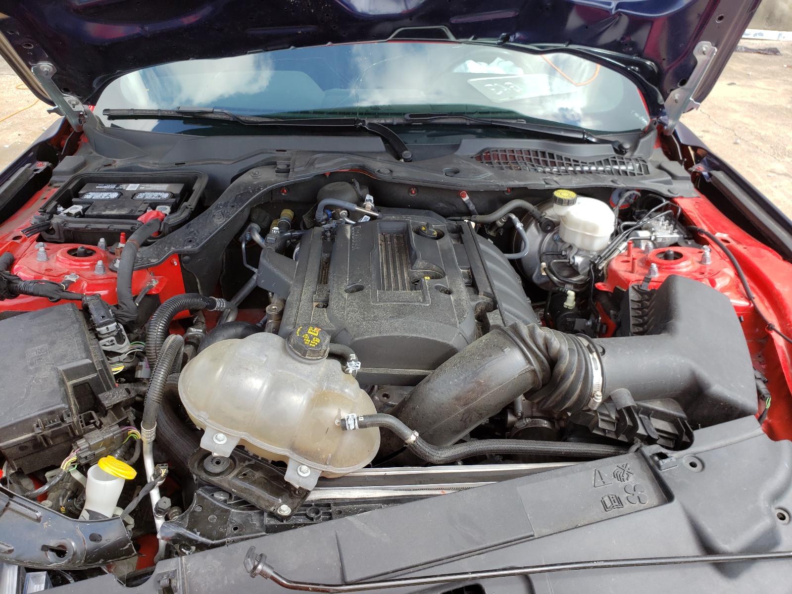 Photo 7 from auction – 2019 FORD MUSTANG with VIN 1FA6P8TH5K5122239