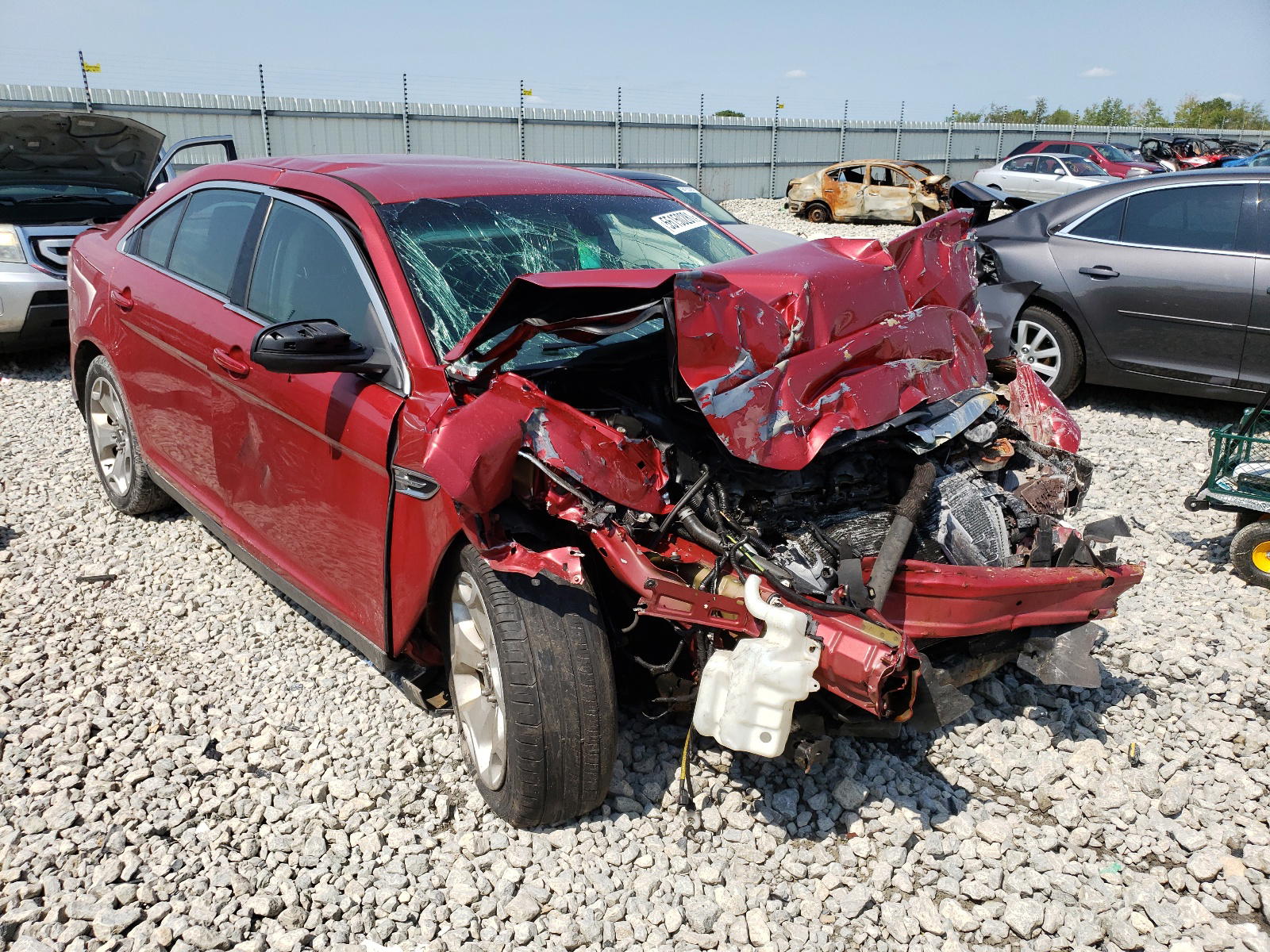 FORD TAURUS SEL 2010 with VIN 1FAHP2EW5AG125484 - Photo from auction