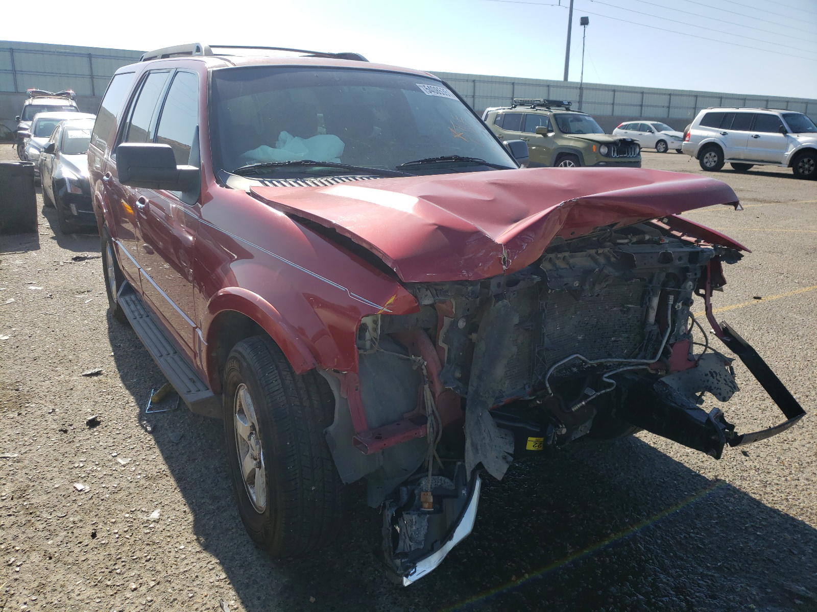 FORD EXPEDITION 2009 with VIN 1FMFU15569LA08233 - Photo from auction