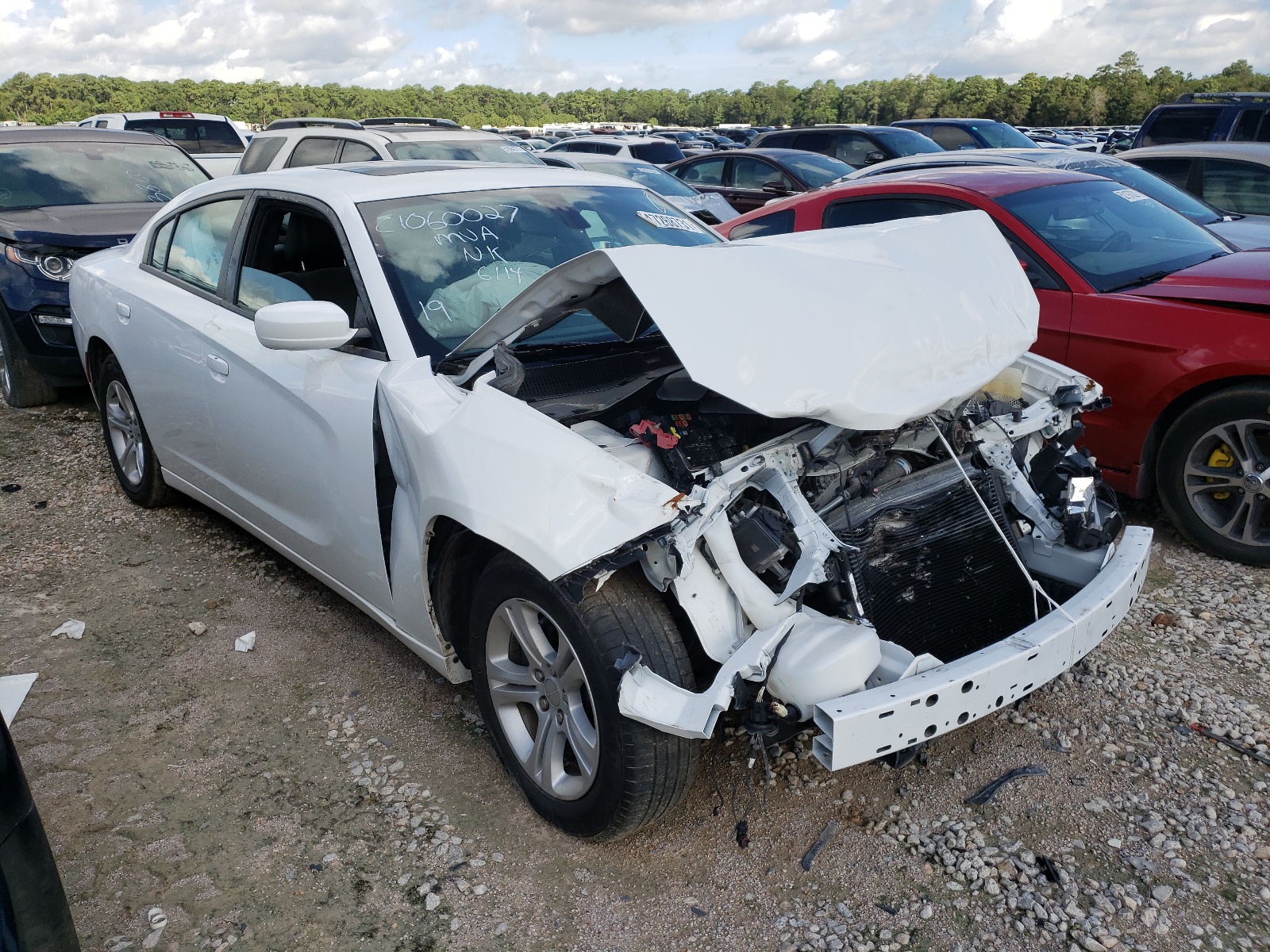DODGE CHARGER SX 2019 with VIN 2C3CDXBGXKH717738 - Photo from auction