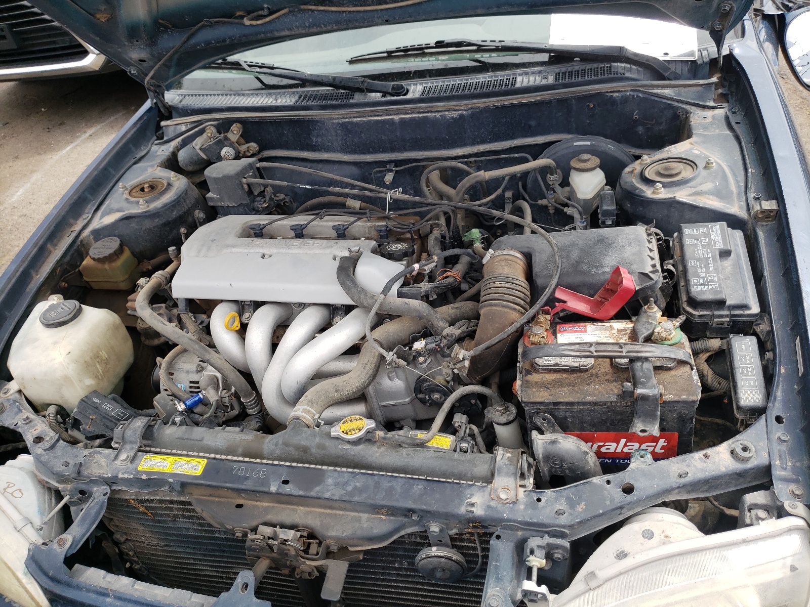 Photo 7 from auction – 1999 TOYOTA COROLLA VE with VIN 2T1BR18E5XC248362