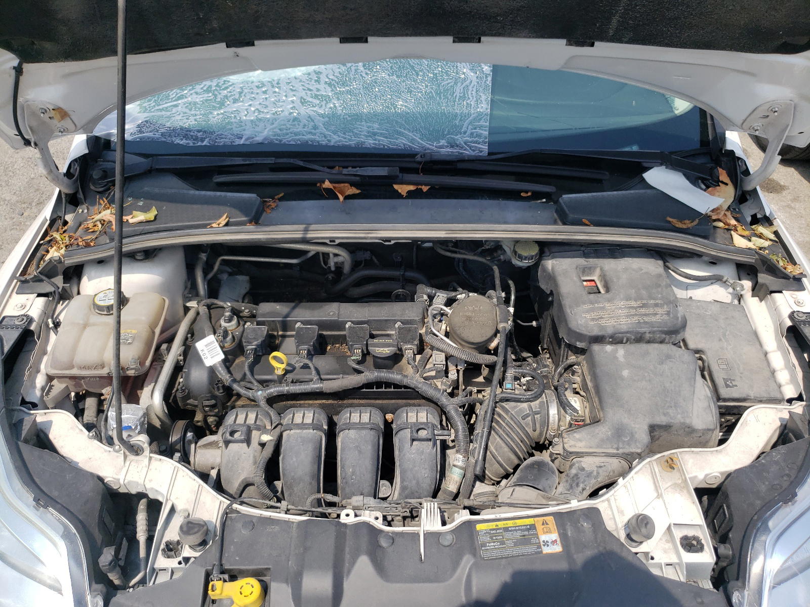 Photo 7 from auction – 2012 FORD FOCUS SEL with VIN 1FAHP3H22CL278011