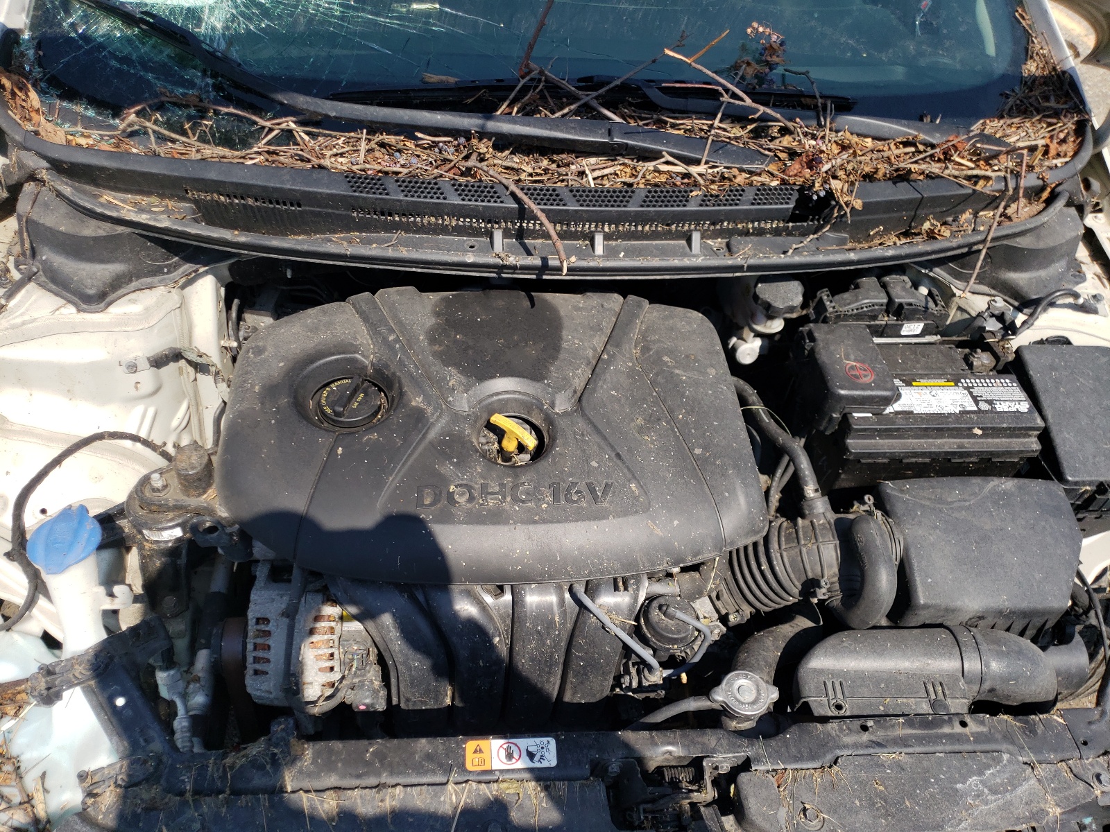Photo 7 from auction – 2014 KIA FORTE LX with VIN KNAFK4A69E5061319
