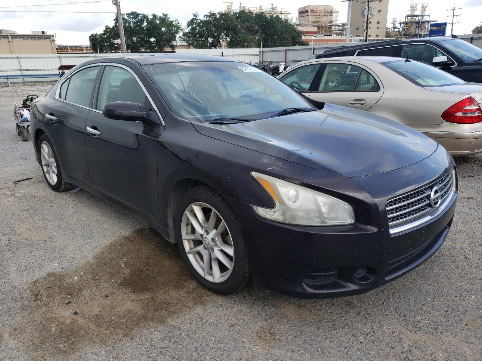 NISSAN MAXIMA S 2011 with VIN 1N4AA5AP3BC841067 - Photo from auction