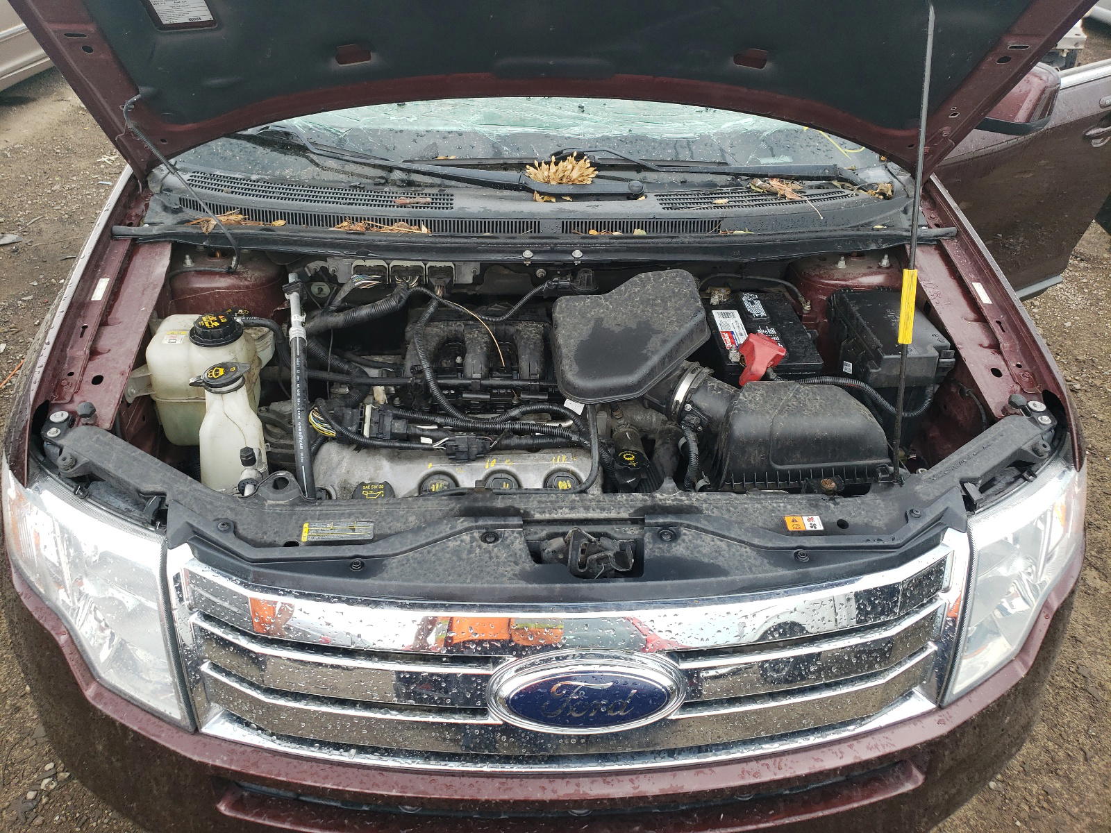 Photo 7 from auction – 2009 FORD EDGE LIMIT with VIN 2FMDK39C79BA81743