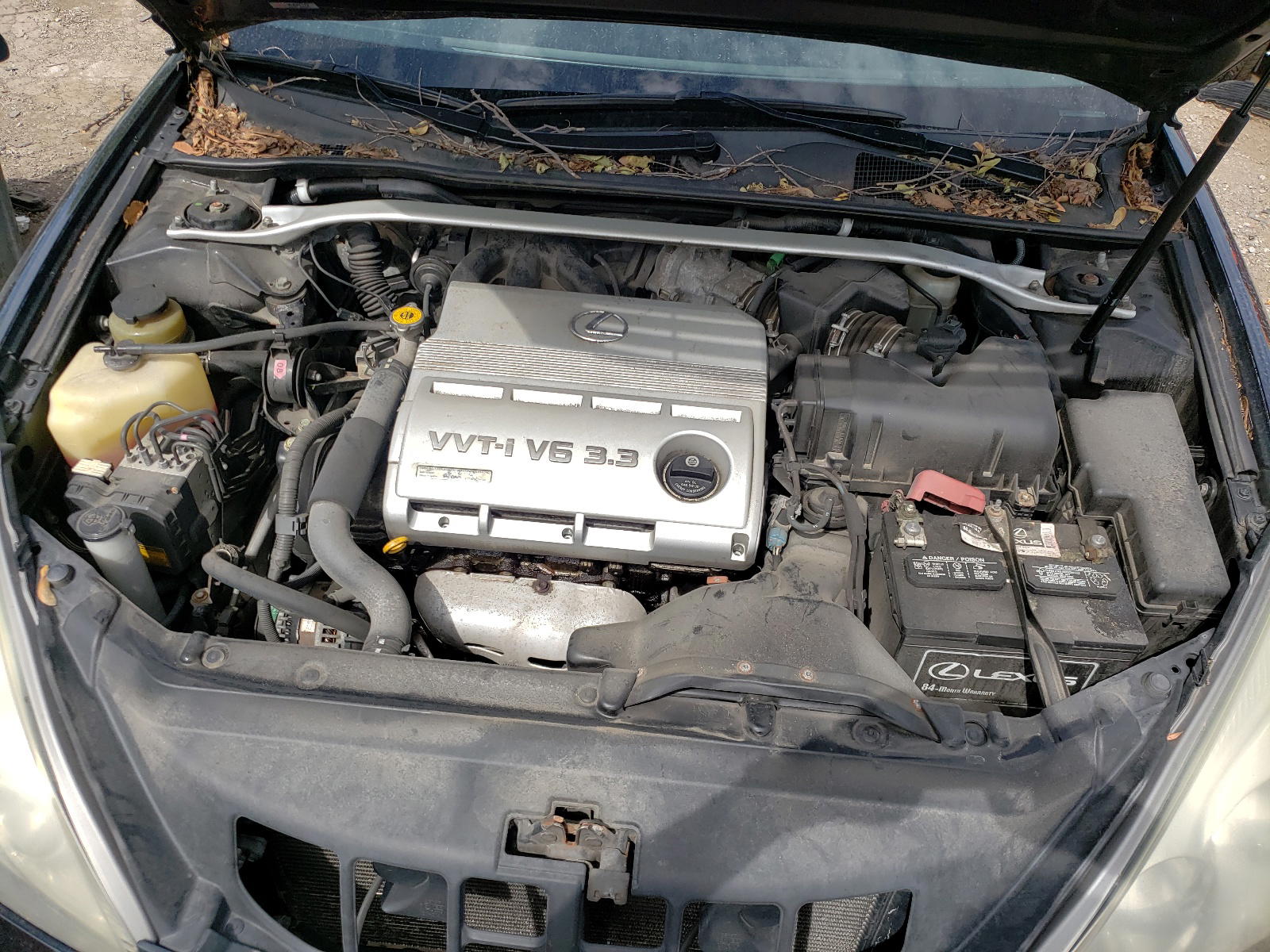 Photo 7 from auction – 2004 LEXUS ES 330 with VIN JTHBA30G145024965
