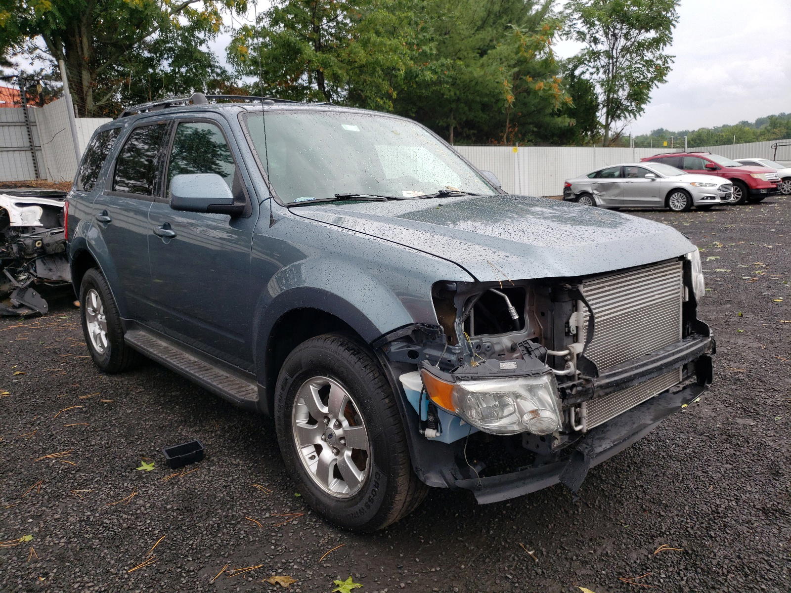 FORD ESCAPE 2011 with VIN 1FMCU9EG0BKB17768 - Photo from auction