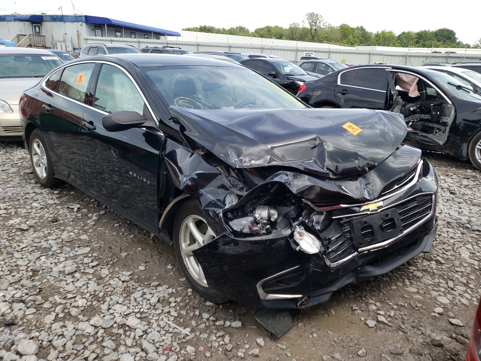 Photo 1 from auction – 2017 CHEVROLET MALIBU with VIN 1G1ZB5ST3HF199505