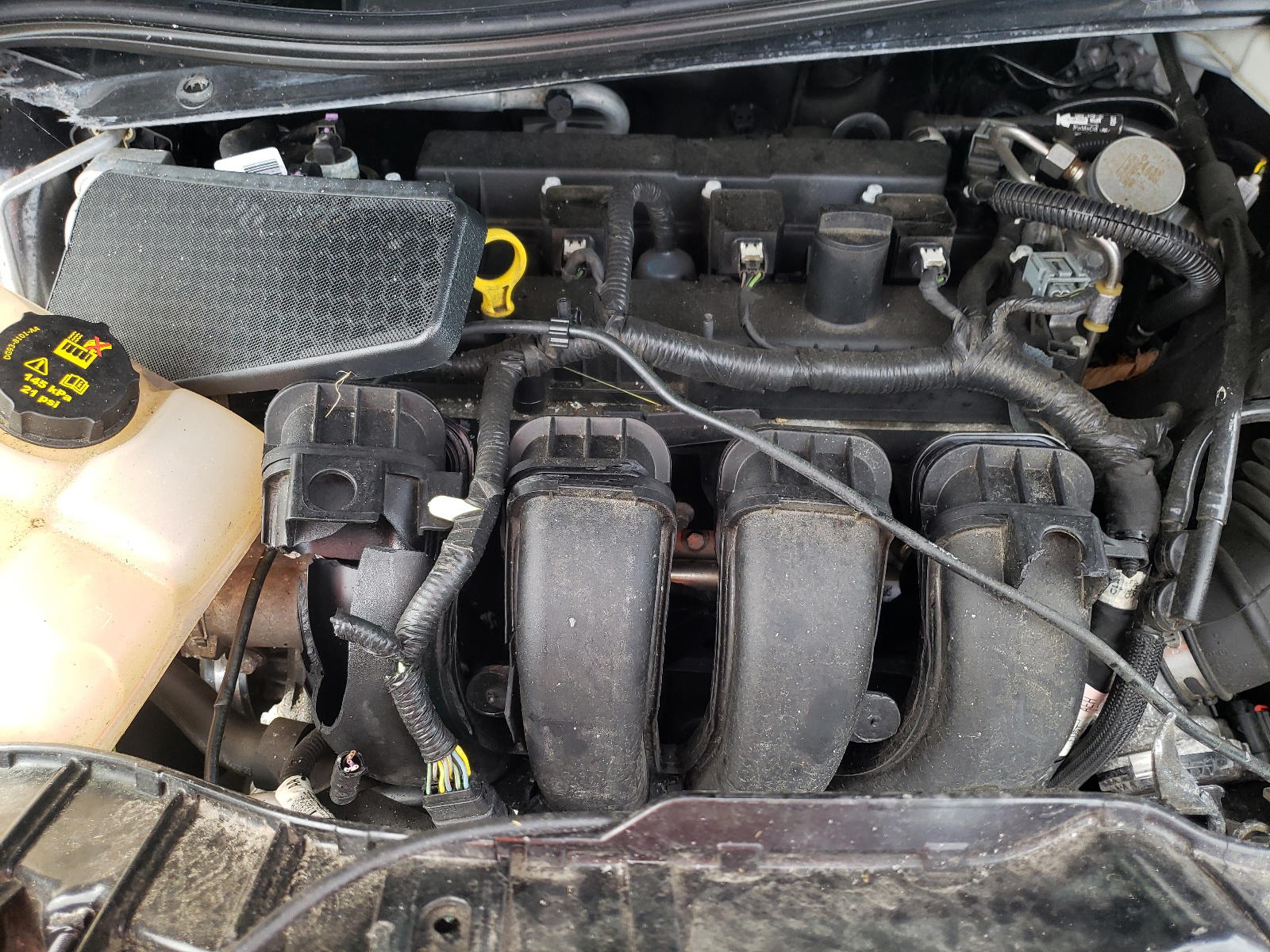 Photo 7 from auction – 2017 FORD FOCUS SEL with VIN 1FADP3M24HL201006